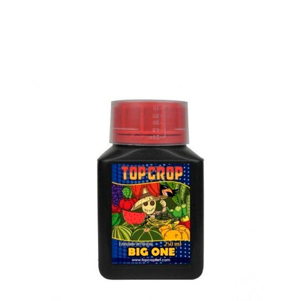 Big One Top Crop 250ml