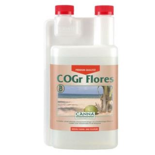 CANNA COGR FLORES