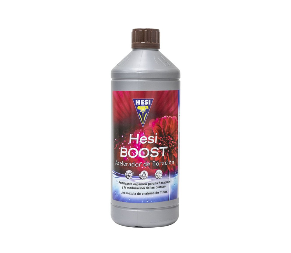 HESI BOOST